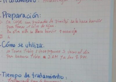 Identification de las plantas