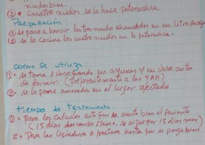 Identification de las plantas 2