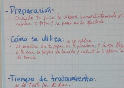 Planta Ubinke-Ipe