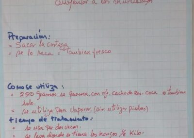 Plantas medicinales