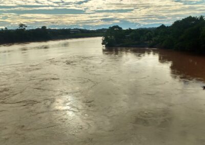 Amazonas